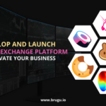 Swap Exchange Platform Development - DX Business Group