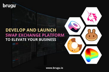 Swap Exchange Platform Development - DX Business Group